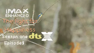 the light for happiness 2026 depression short film season 1 episode 3 8k hdr
