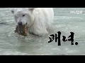 Download Lagu 난 바다에 있을때 비로소 살아있음을 느낀다. 맨몸으로 왈척 낚는 강아지ㅋㅋㅋㅣOne shot one kill! Dog Fishes On The Beach