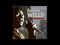 Junior Wells - Best Of The Vanguard Years - 10 - Shake It Baby