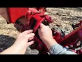 Replacing drive belt and reverse disk on a Troy-Bilt horse