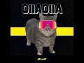 Download Lagu Dj Mp3 - OIIAOIIA Remix