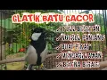 Download Lagu GLATIK BATU GACOR istimewa ngerol panjang + full besetan kasar