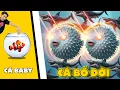 Download Lagu PobbRose CÁ BABY vs CÁ BỐ ĐỜI !!! (PobbRose Thánh nuôi cá) | evo fish ✔