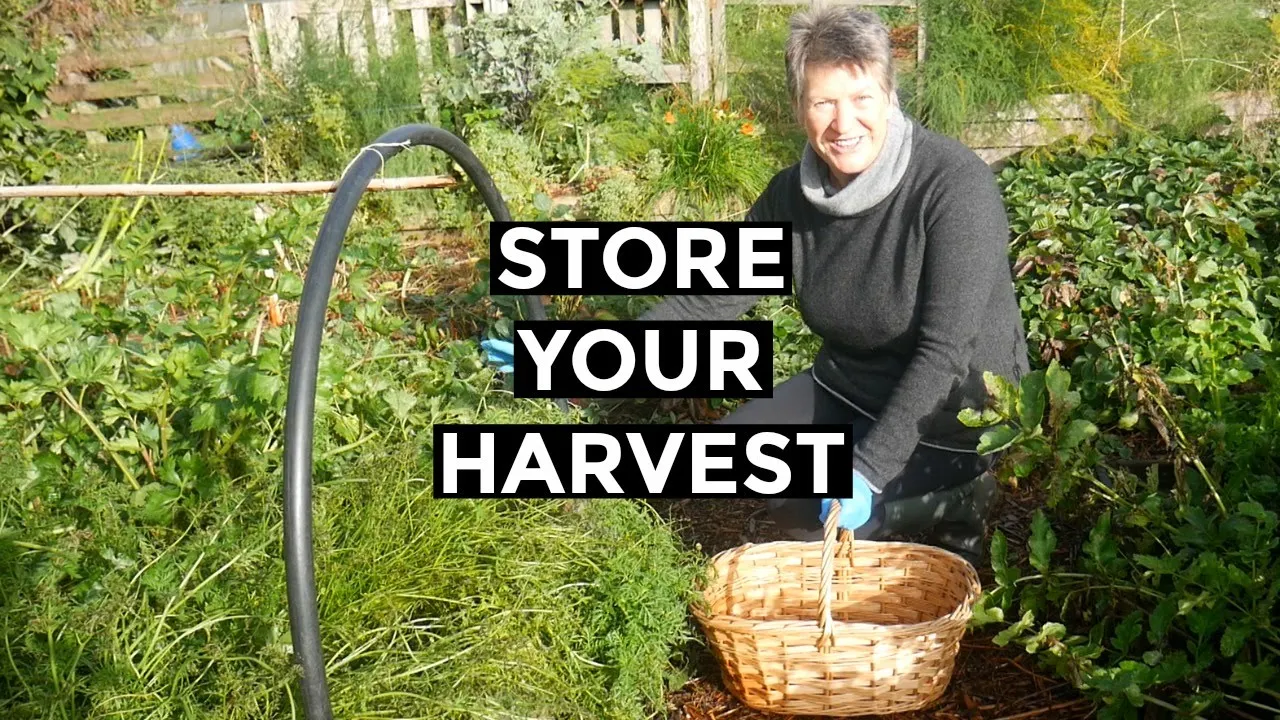 Preserving The Harvest | How to store homegrown food (2019)