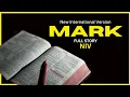 Jesus the Servant Bible with Text NIV Mark