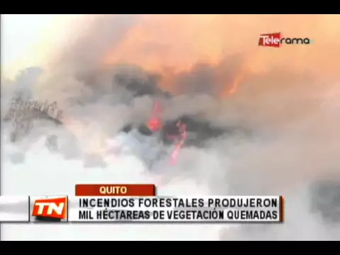 Incendios forestales produjeron mil hectáreas de vegetación quemadas