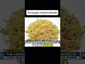 Download Lagu Het gevaar van ramennoedels ⚠️🍜