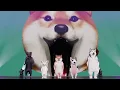 WE GO-6 PERFORMANCE STAGE [Lucky Charm]