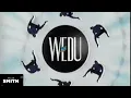 PBS Station ID Gymnastics WEDU-TV 1998