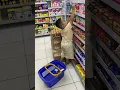 Download Lagu hayang jajan susu di Indomaret