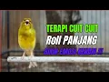 Download Lagu SUARA BURUNG Kenari GACOR PANJANG INI Cocok untuk Masteran KENARI PAUD dan Kenari Macet BUNYI