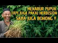 Download Lagu Jangan Kaget Tanamanmu Lambat Tumbuh !! Baru Mau hidup Sudah Kau Racun Rumput