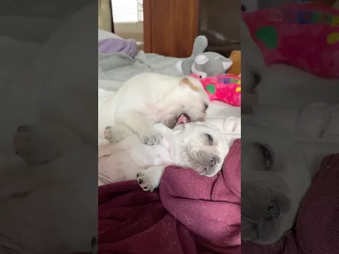 It tickles 🤗