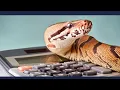 A calculator with Python
