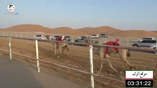 الشوط 6 الهبيبه لـ سيف معيوف سالم الدرعي 6 12 78 شارة الديوان 2022 10 1 لقايا الرقيعات 