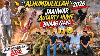 Qurbani ka janwar agaya 😍 Unloading hoi Khatarnak 😱 Scene Hogaya 😂