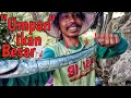 Download Lagu UMPAN BESAR UNTUK MANCING IKAN BESAR ||bari ngluyur mancing