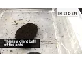Download Lagu This is a giant ball of fire ants