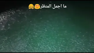 لون البحر اخضر 