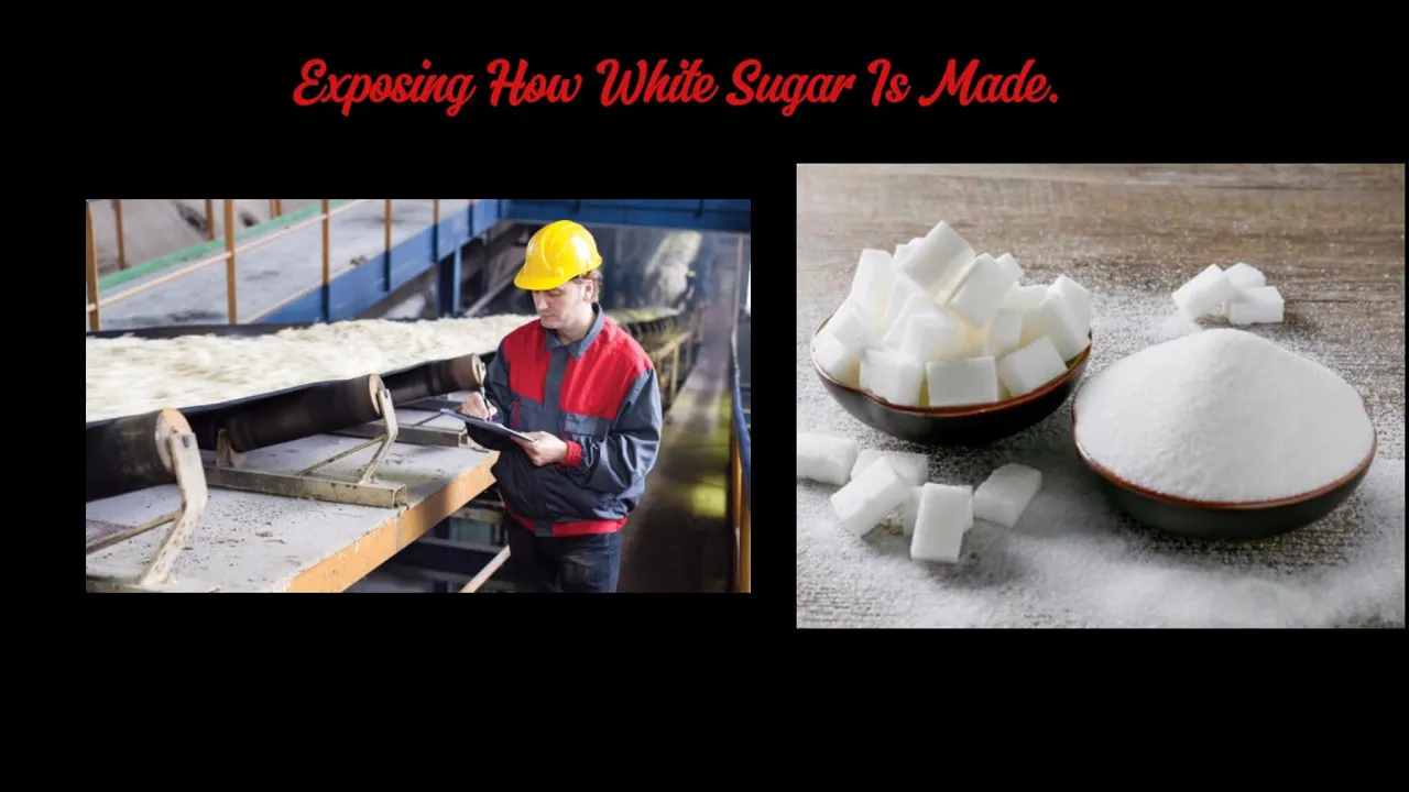 The Bitter Truth:-  How White Sugar is Made @DiscoveryTV