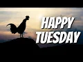 Happy Tuesday Images - Download the Best Happy Tuesday Images app Now