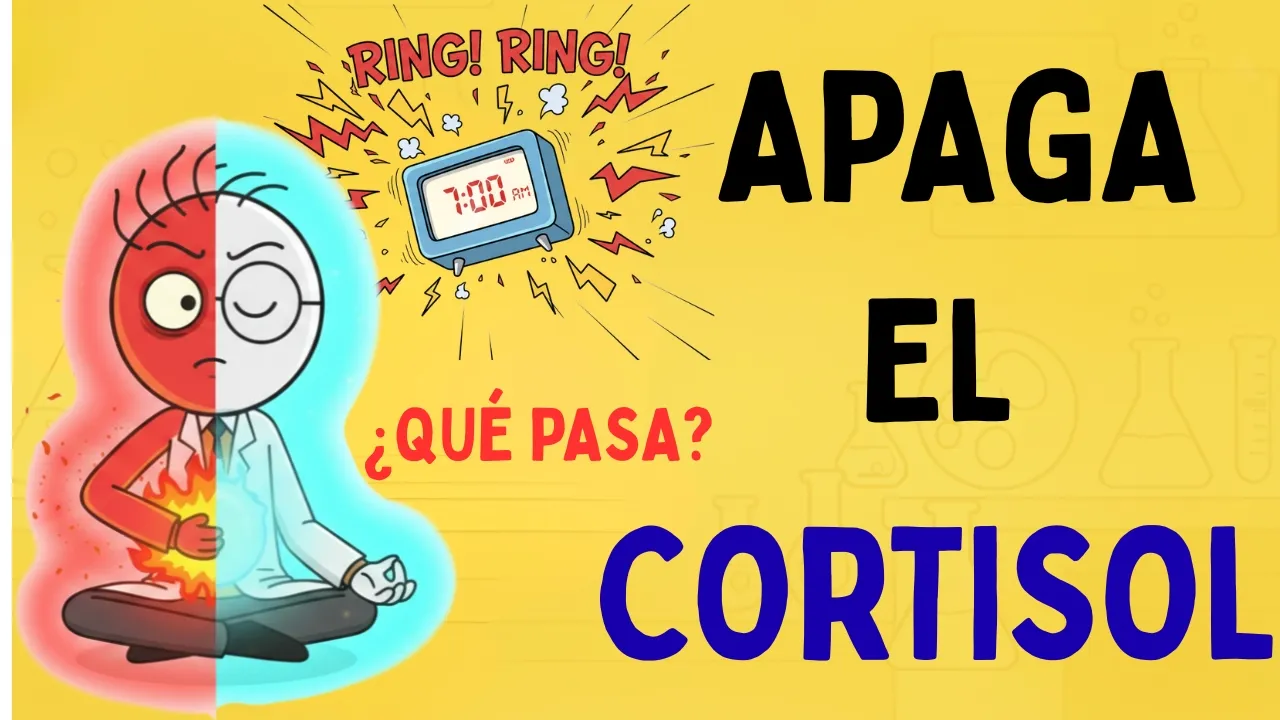 OBLIGA A TU CUERPO A QUEMAR LA GRASA ABDOMINAL VISCERAL CON ESTA RUTINA MATUTINA