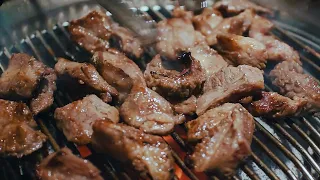                                     دندنها