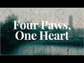R I P Four Paws One Heart A Memorial Song for a Beloved Pet