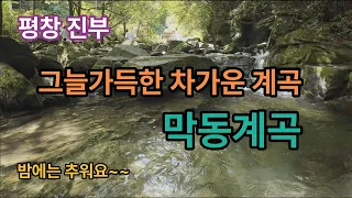 [평창계곡]그늘가득 물맑은 막동계곡 / 열대야 없고 밤에는 추워요 썸네일