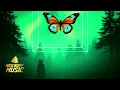 Tiësto,Dimitri Vegas & Like Mike - Butterfly ( EDM Remix)