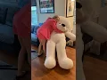 6 FOOT TALL TEDDY BEAR