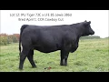 Jetstream Ebony 31E Lot 12