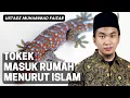 Download Lagu Tokek Masuk Rumah Menurut Islam | Ustadz Faizar