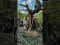 A Tornado Almost Killed Jase Robertson s Son
