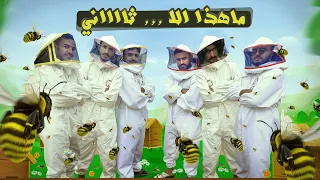 كليب العسل اليمني من مناحل اليمن      دندنها