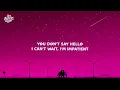 SIENNA SPIRO - You Stole The Show (Lyrics)
