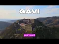 GAVI the WHITE WINE town ITALY Piemonte Alessandria wine tasting tour
