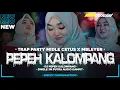 Download Lagu DJ PEPEH KALOMPANG TRAP PARTY MIDDLE CETUS • JM PUTRA AUDIO • RIECKY FUNDURACTION WSB OFFICIAL