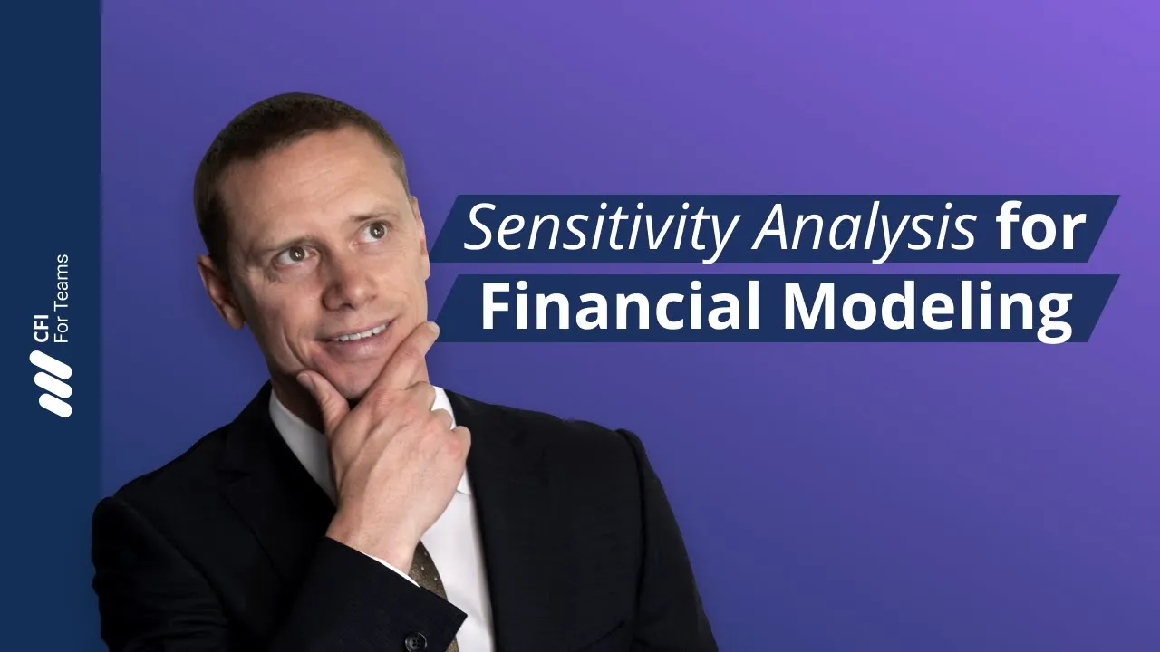 Sensitivity Analysis in Financial Modeling: A Practical Guide
