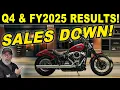 HARLEY-DAVIDSON Motorcycle sales down 12 CEO has a Plan