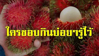 ไม่น่าเชื่อ ผลไม้ "เงาะ" ใครที่กินบ่อยๆ รู้ไว้ ดีต่อสุขภาพหลายด้าน