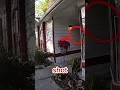 This Police office got saved by Something Unexpected