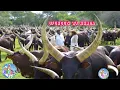 NYANDA SHINYANGA NTAMBI UFUNGUZI WA MNADA IBHANBO 2026 BY SHULE MSABAZAJI 