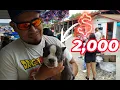 THE CANTON TEXAS FLEA WE WENT FOR EXOTICS