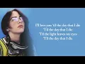 Download Lagu Billie Eilish - BIRDS OF A FEATHER (Lyrics)