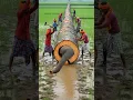 Download Lagu Rescue Elephant From Giant Log! #humanity #elephant #log #pets #animals