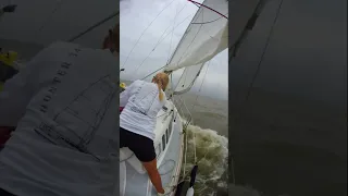 Saturday Sail on Galveston Bay #shorts #sailing