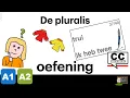 Lagu NT2 A2 2.02 De pluralis - oefeningen - NEDERLANDS LEREN Learn Dutch A1 12.06 meervoud