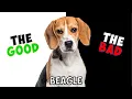 BEAGLE - PROS CONS