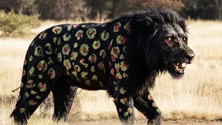 10 DEADLIEST Animals That Went Extinct